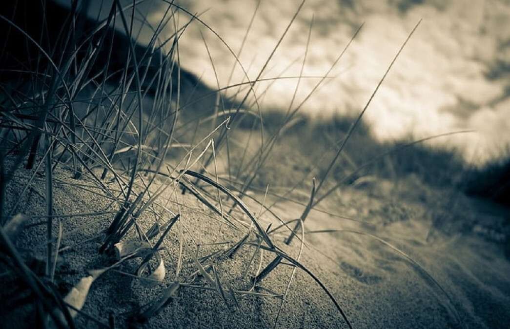 Новости Днепра про У Царичанському районі у полі знайшли тіло голої дитини