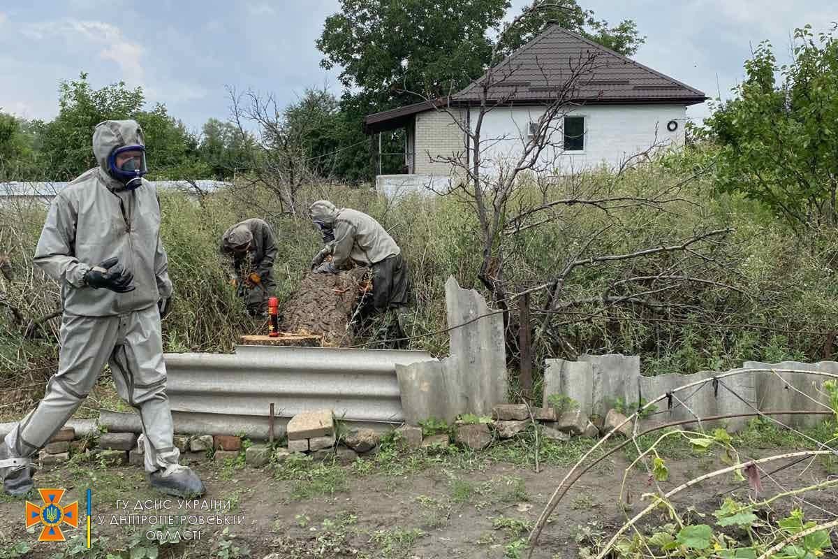 Новости Днепра про Небезпечні для алергіків та немовлят: у Дніпрі надзвичайники труїли шершнів