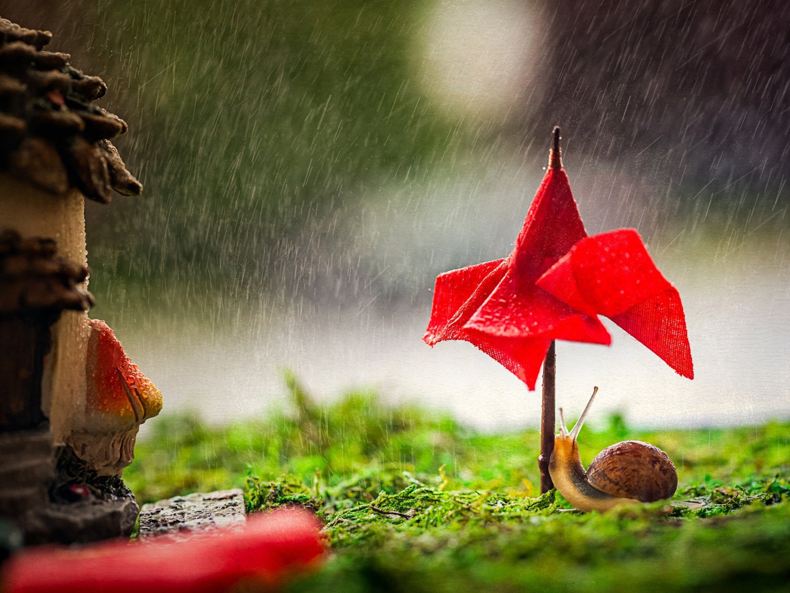 Новости Днепра про Осінь все ближче: сьогодні у Дніпрі очікується дощ із грозою