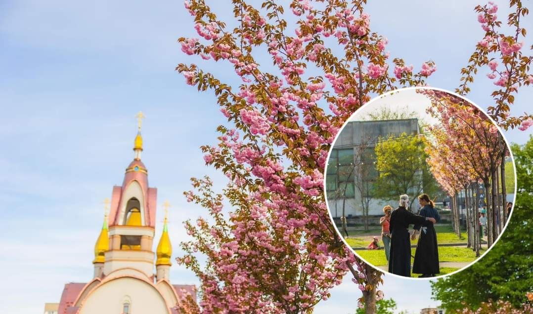 Новини Дніпра про У Дніпрі самураї влаштували "бійку" (ФОТО)