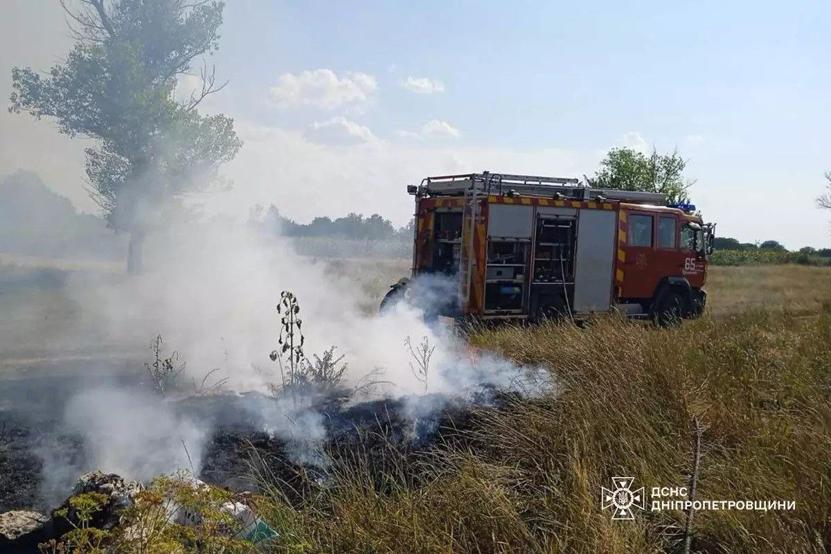 Новости Днепра про В сутки огонь уничтожил 67 га экосистем Днепропетровщины: сохраняется V уровень опасности