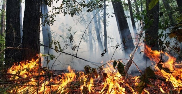 На Дніпропетровщині знову оголосили попередження про небезпечне стихійне явище