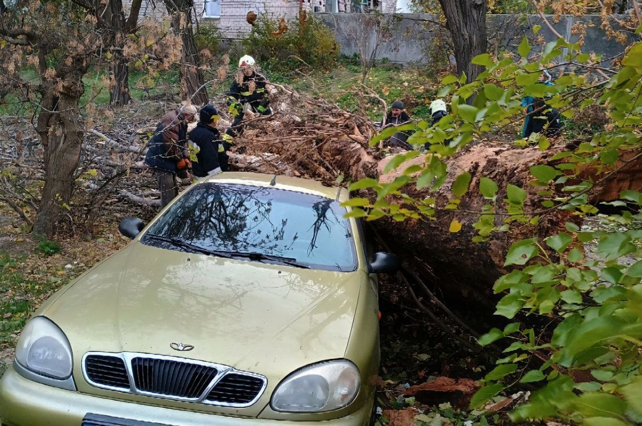 Повалене дерево на автівці