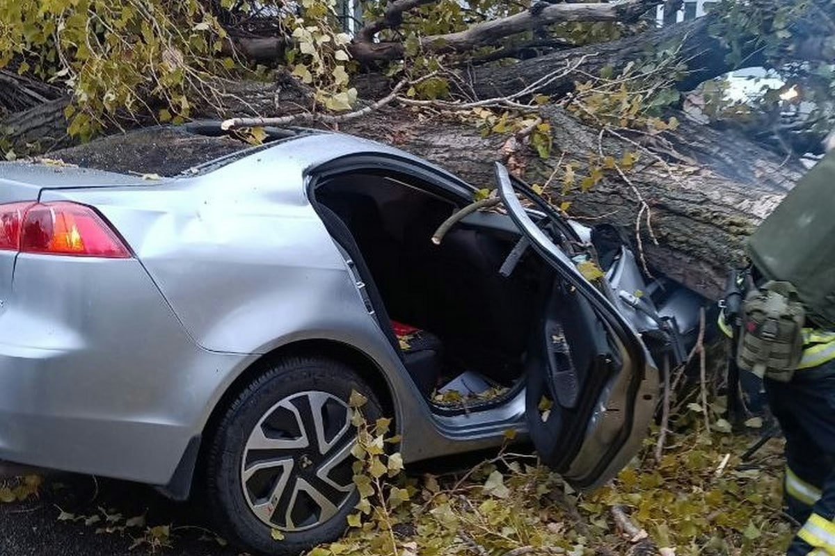 На Дніпропетровщині дерево впало на авто під час руху: загинув чоловік