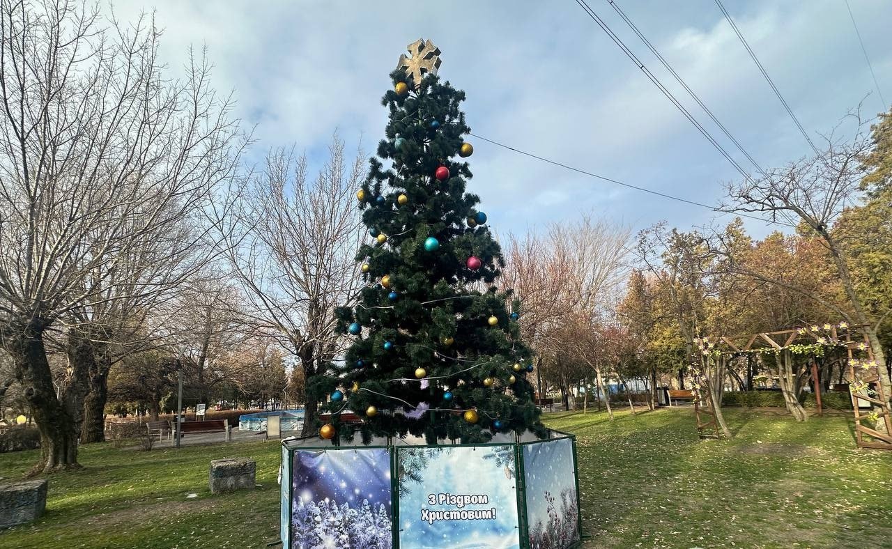 У Дніпрі в Новокодацькому парку встановили ще одну ялинку: коли засяє 