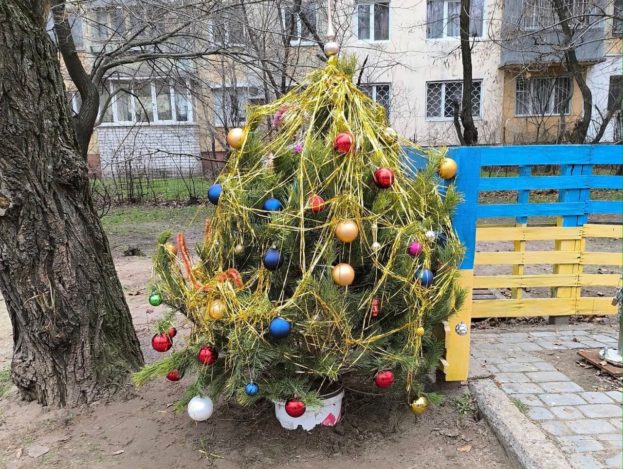 У Дніпрі в дворах багатоповерхівок встановили "народні ялинки" (фото)