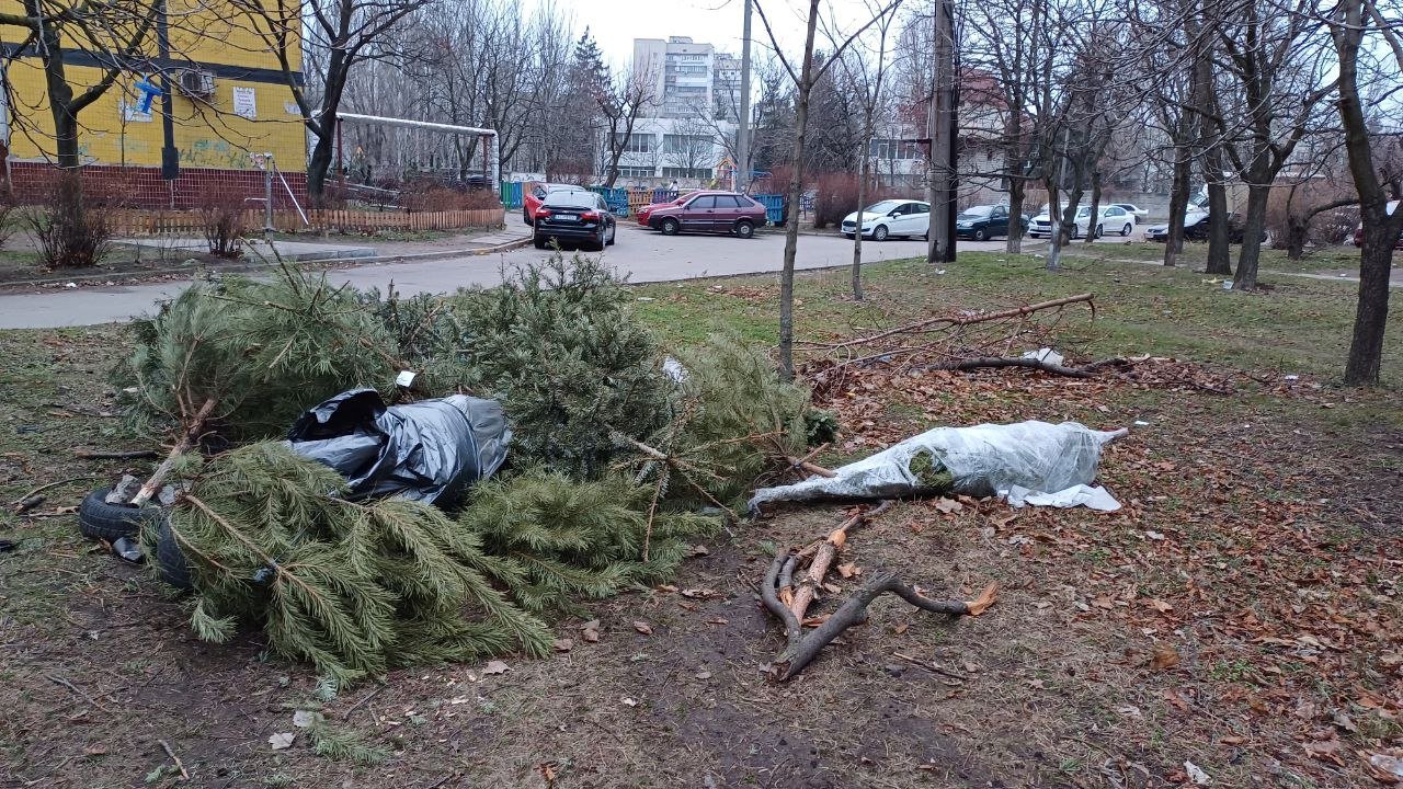 Звалище ялинок в Дніпрі