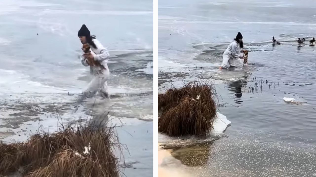 Девушка спасла собаку