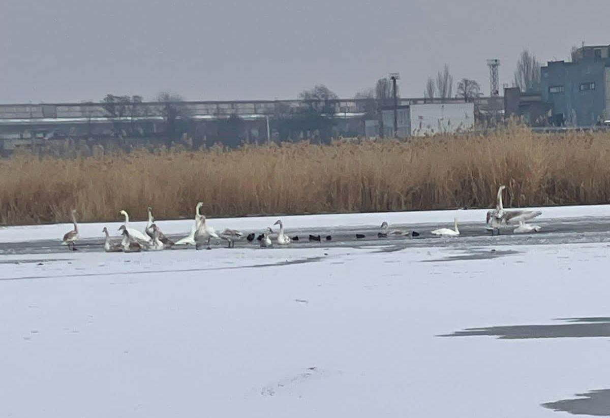 Водойма в місті Самар