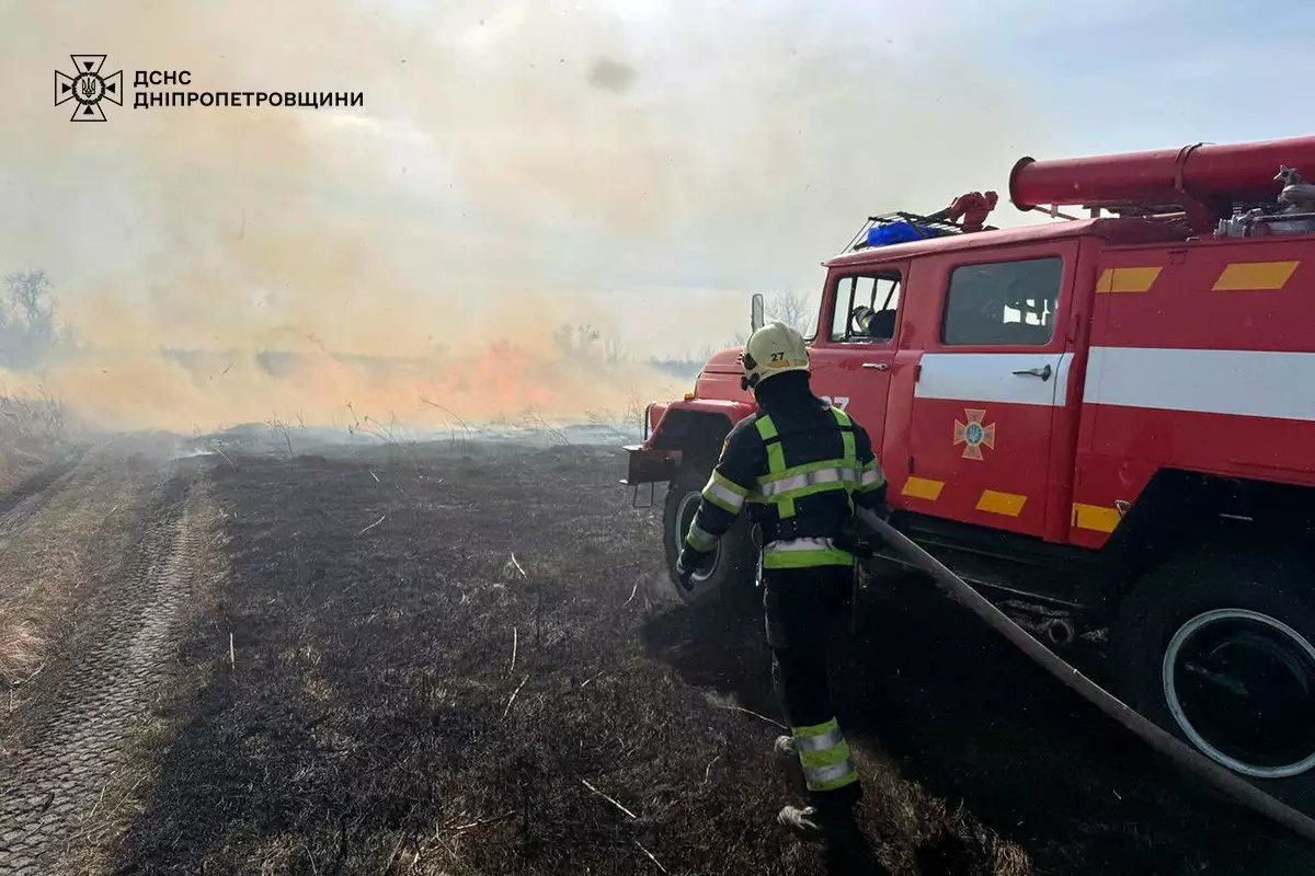 На Дніпропетровщині масово горіли екосистеми: за добу виникло 50 пожеж