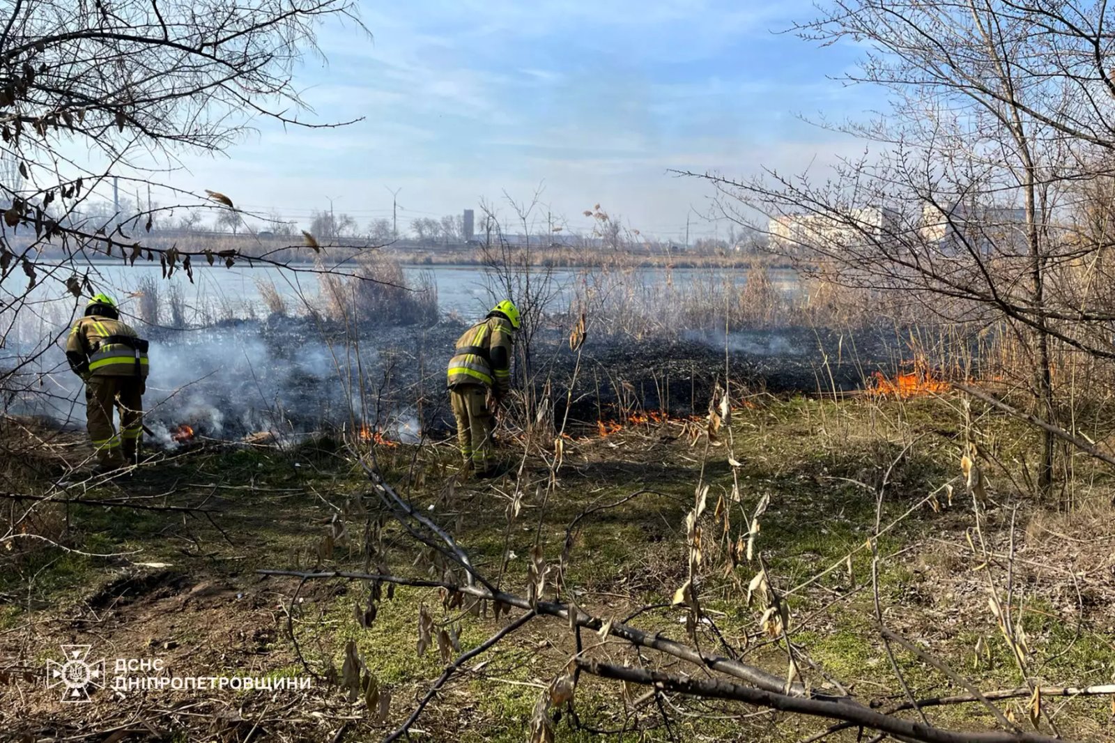 На Дніпропетровщині за вихідні згоріли понад 150 га екосистем