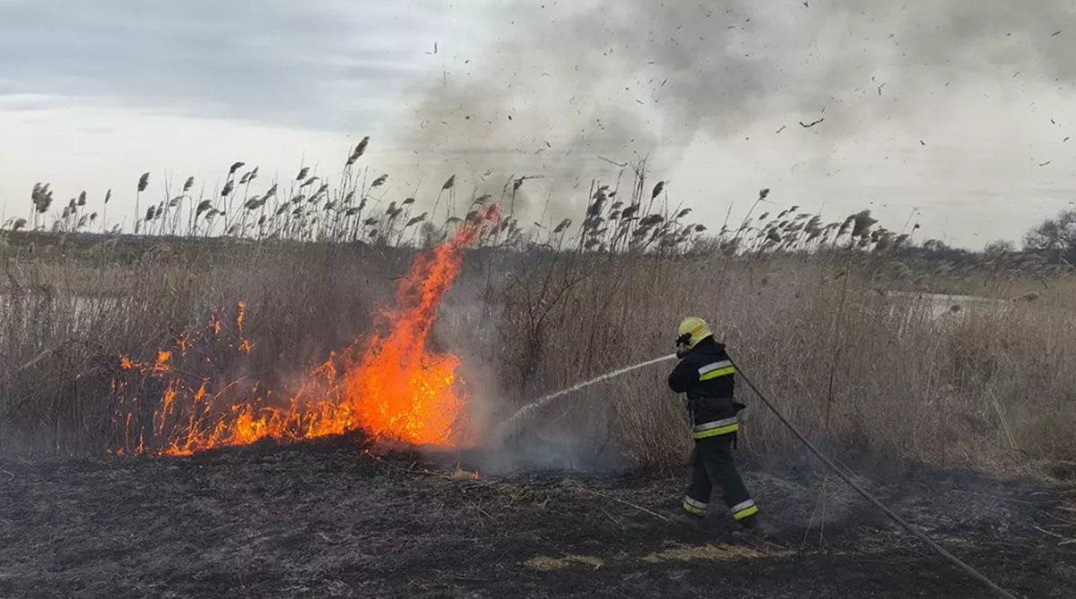 Масштабный пожар сухой растительности на Днепропетровщине, спасатели ГСЧС тушат огонь