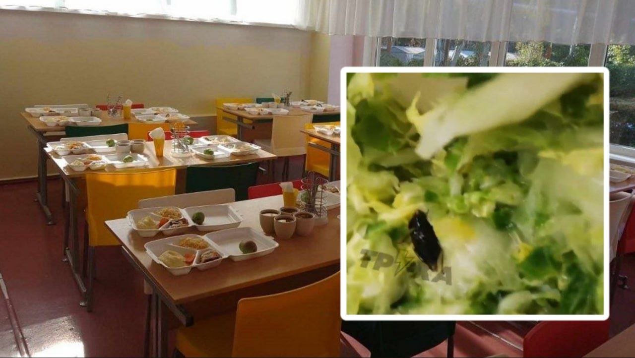 Салат у школі Дніпра