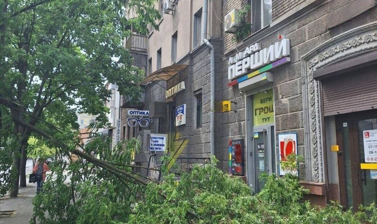 Дерево впало на тротуар на проспекті Науки в Дніпрі