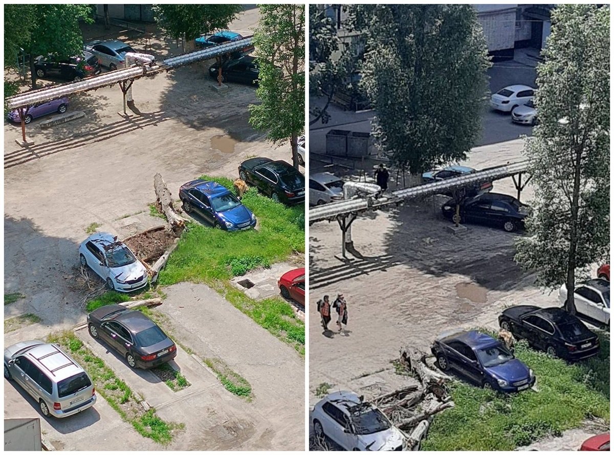 Падіння дерева у дворі на житловому масиві Покровський у Дніпрі