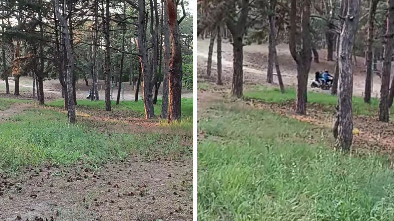 Мотоциклисты в лесу в Днепре.