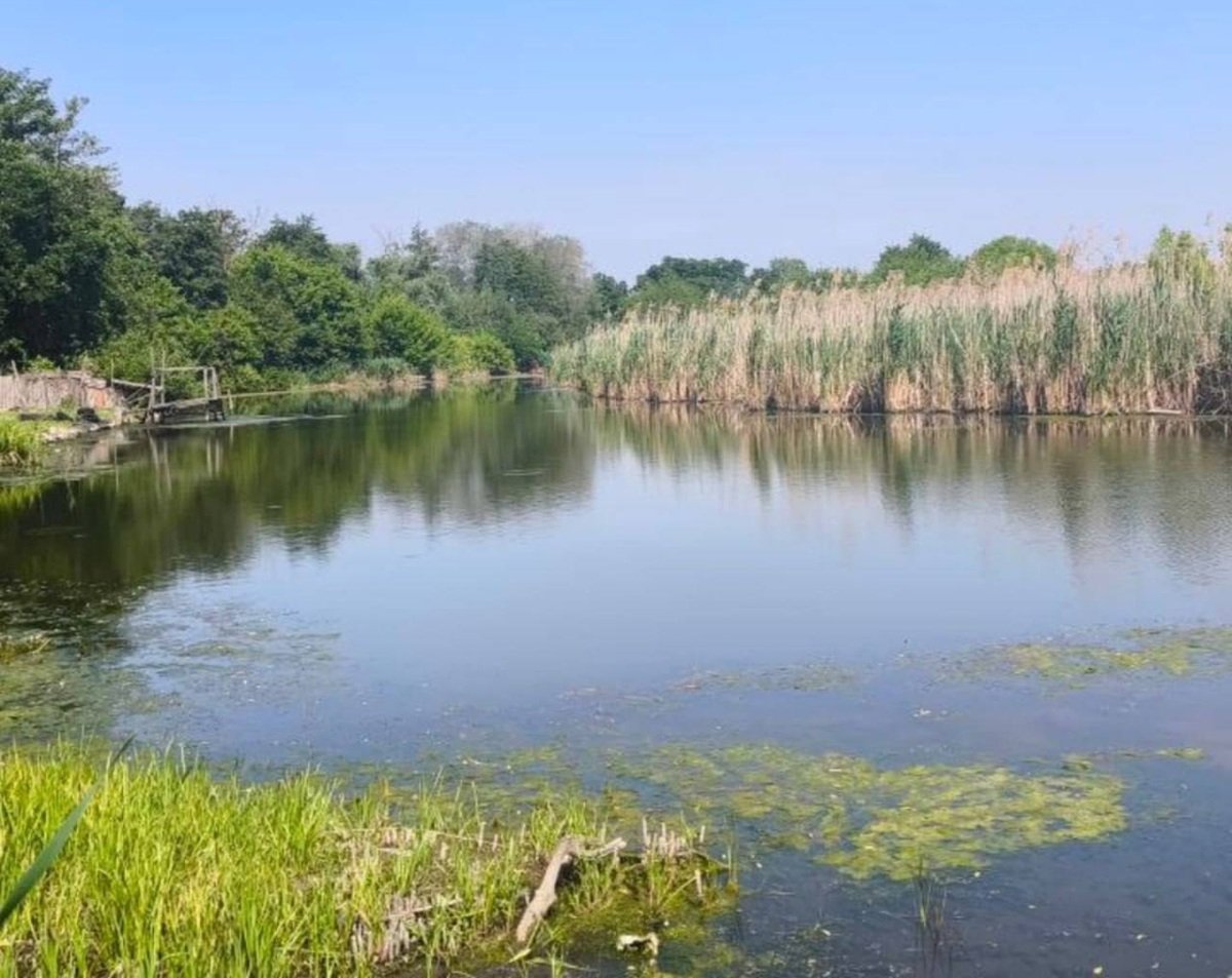 Річка Дніпра Відбір проб води у річці Сусанка, Стара Ігрень, Дніпро.