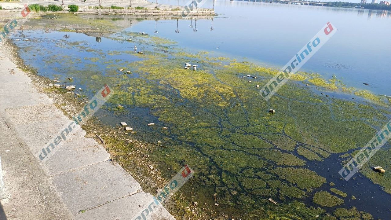 photo_2025-06-09_19-18-43 Река Днепр у Фестивального причала