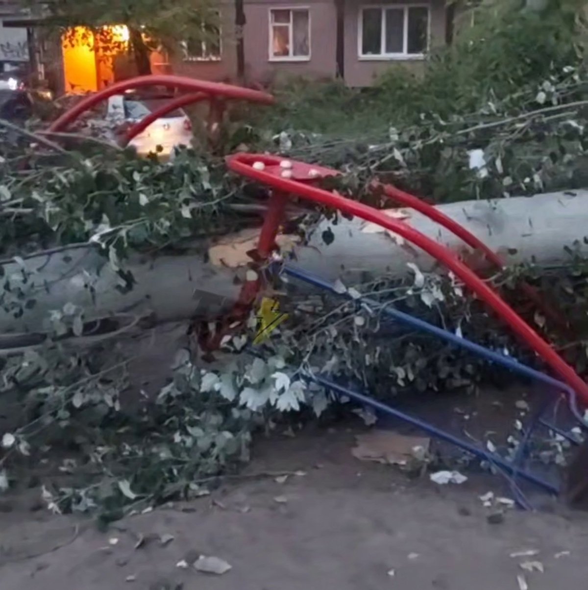 У Дніпрі дерево впало на дитячий майданчик на Набережній Перемоги