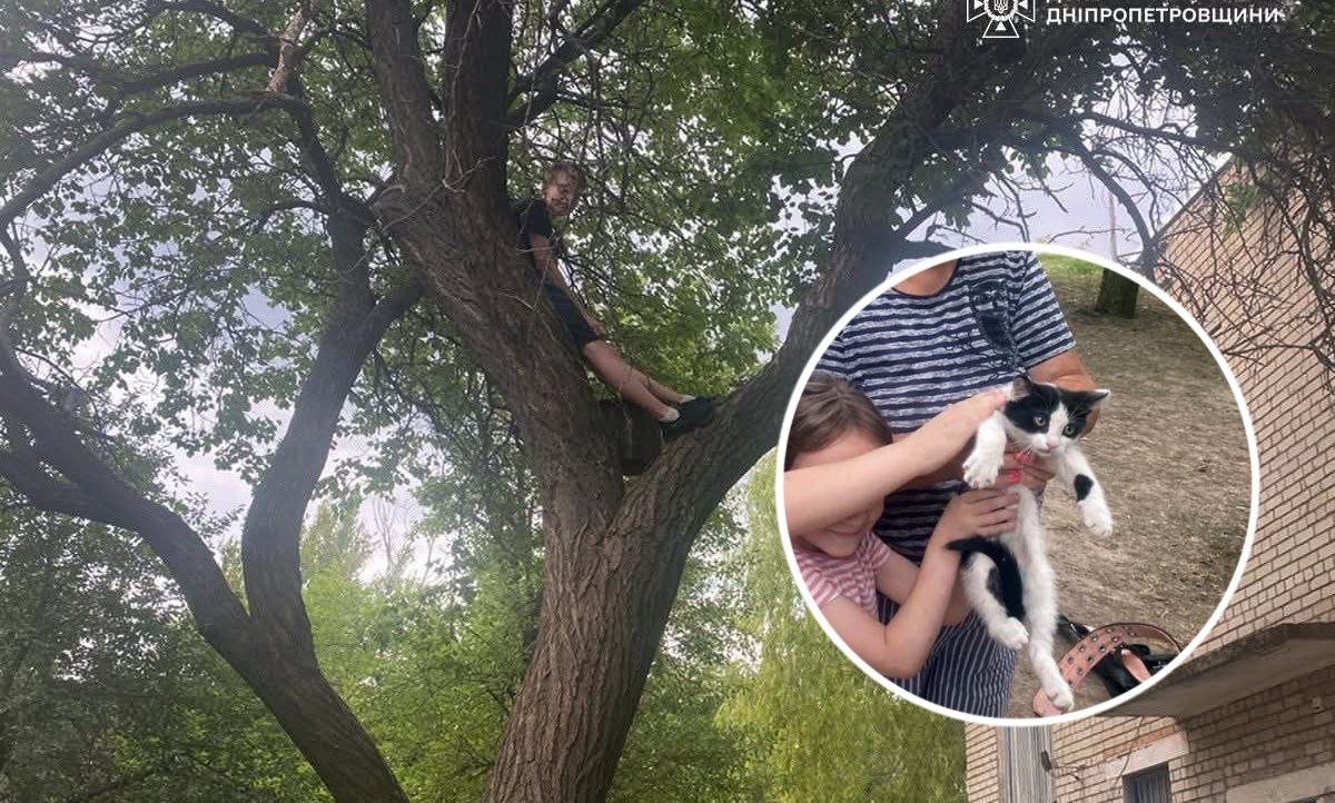 Подросток застрял на дереве