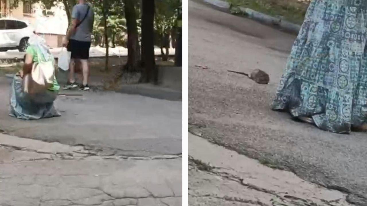 Женщина реанимировала крысу в Днепре