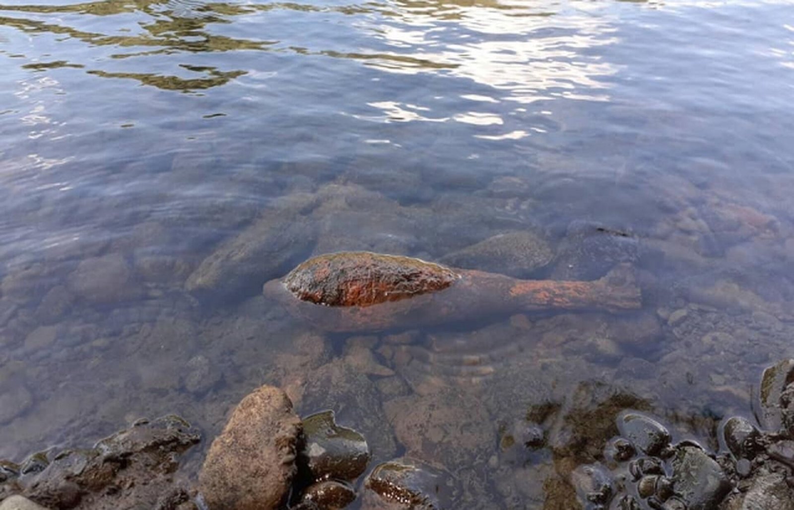 Боеприпас в воде