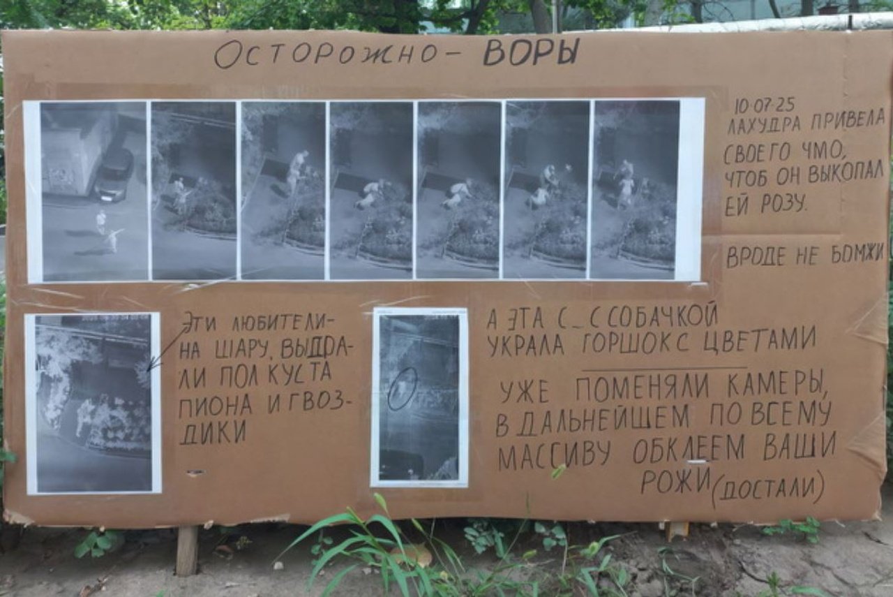 Дошка ганьби в Дніпрі