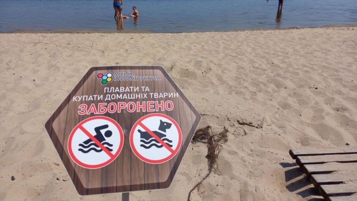 832b6393289b09b8 На одном из пляжей в Днепре обнаружили холерный вибрион: где опасно купаться