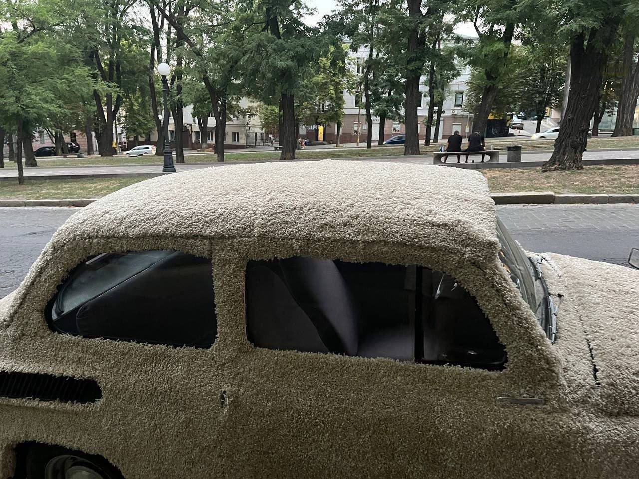 Пухнасте авто