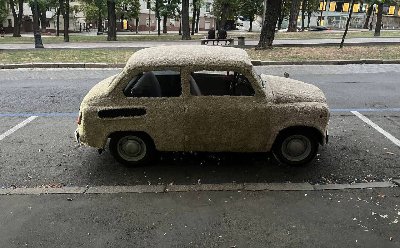 photo_2025-07-30_14-32-21 Пухнаста автівка на Яворницького в Дніпрі
