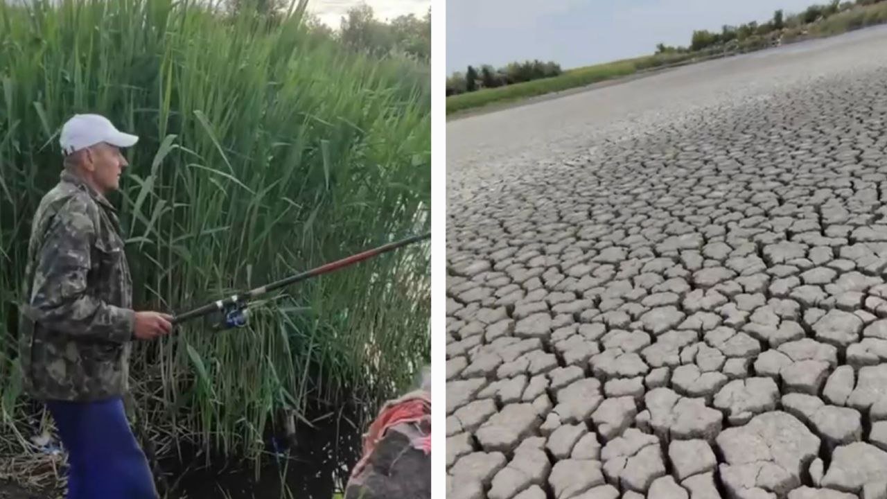 Ставок, який пересох на Криворіжжі