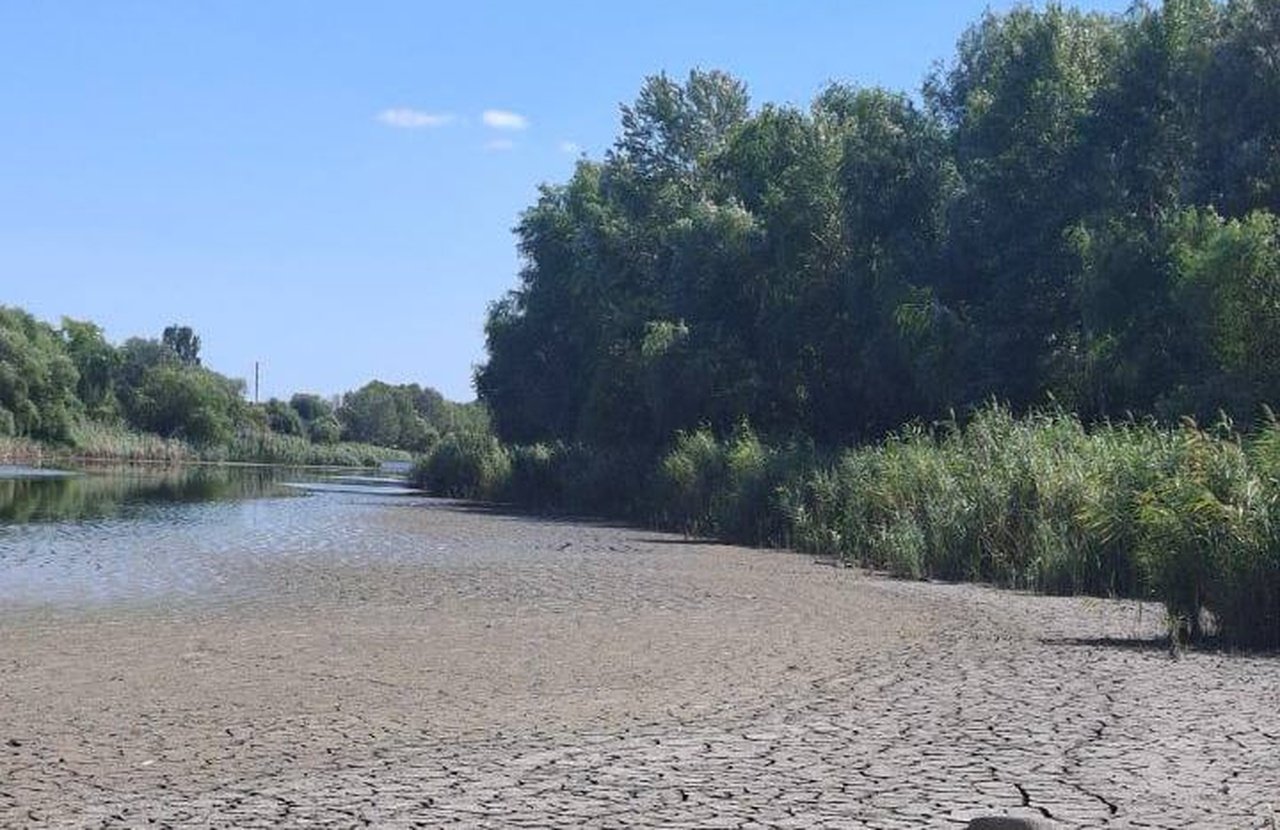 Озеро Куряче в Дніпрі