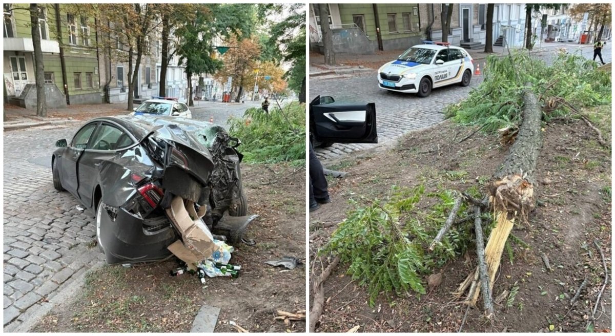 ДТП ДТП у Дніпрі Tesla врізалася в дерево на проспекті Яворницького.