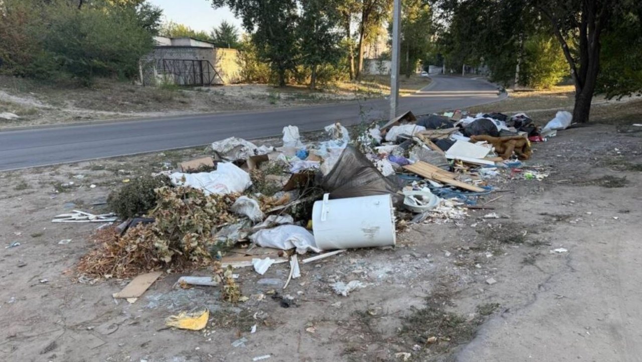 Мусорник, образовавшийся на обочине дороги в Днепре