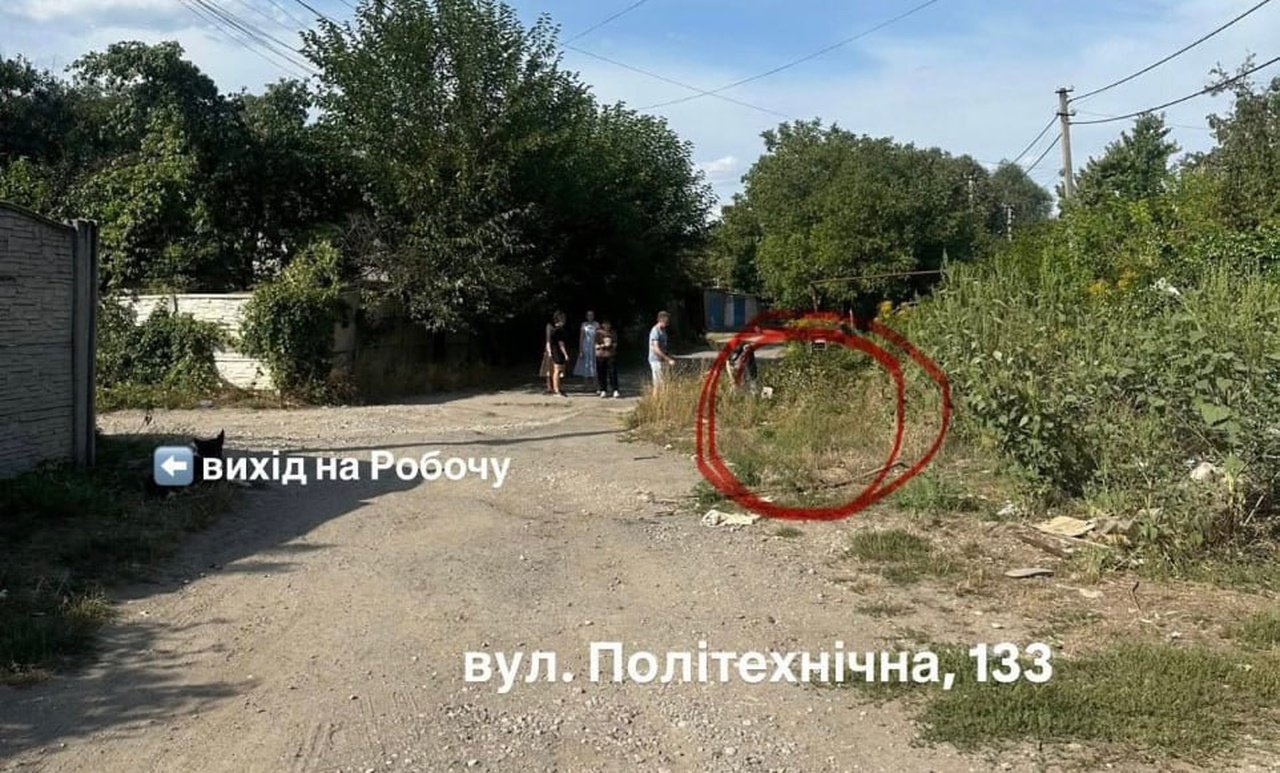 Треба допомога: у Дніпрі рятують собаку, яка понад тиждень тому застрягла в колекторі