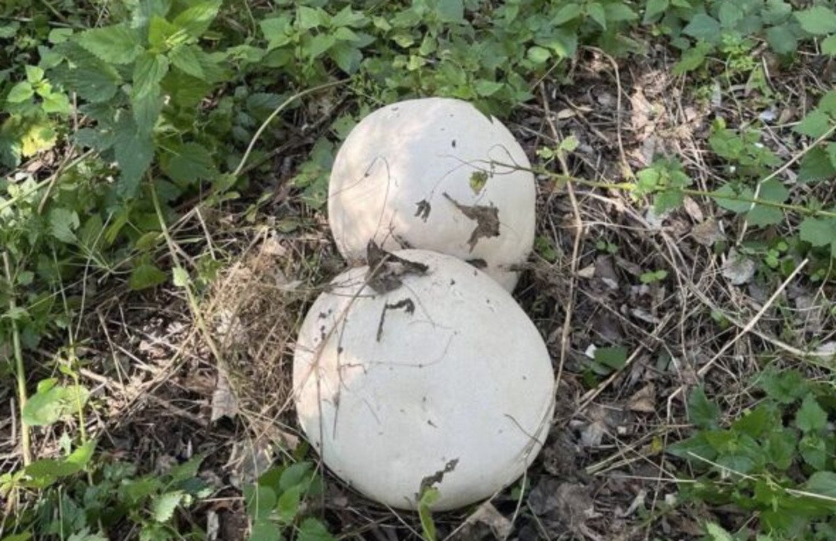 Дніпро, новини