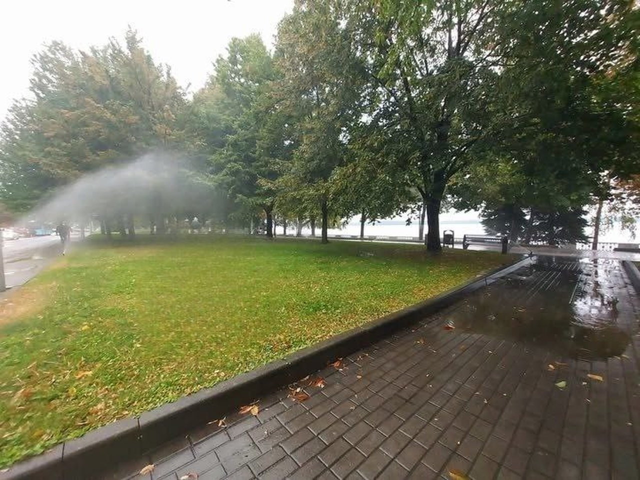 Полив газона во время дождя в Днепре.