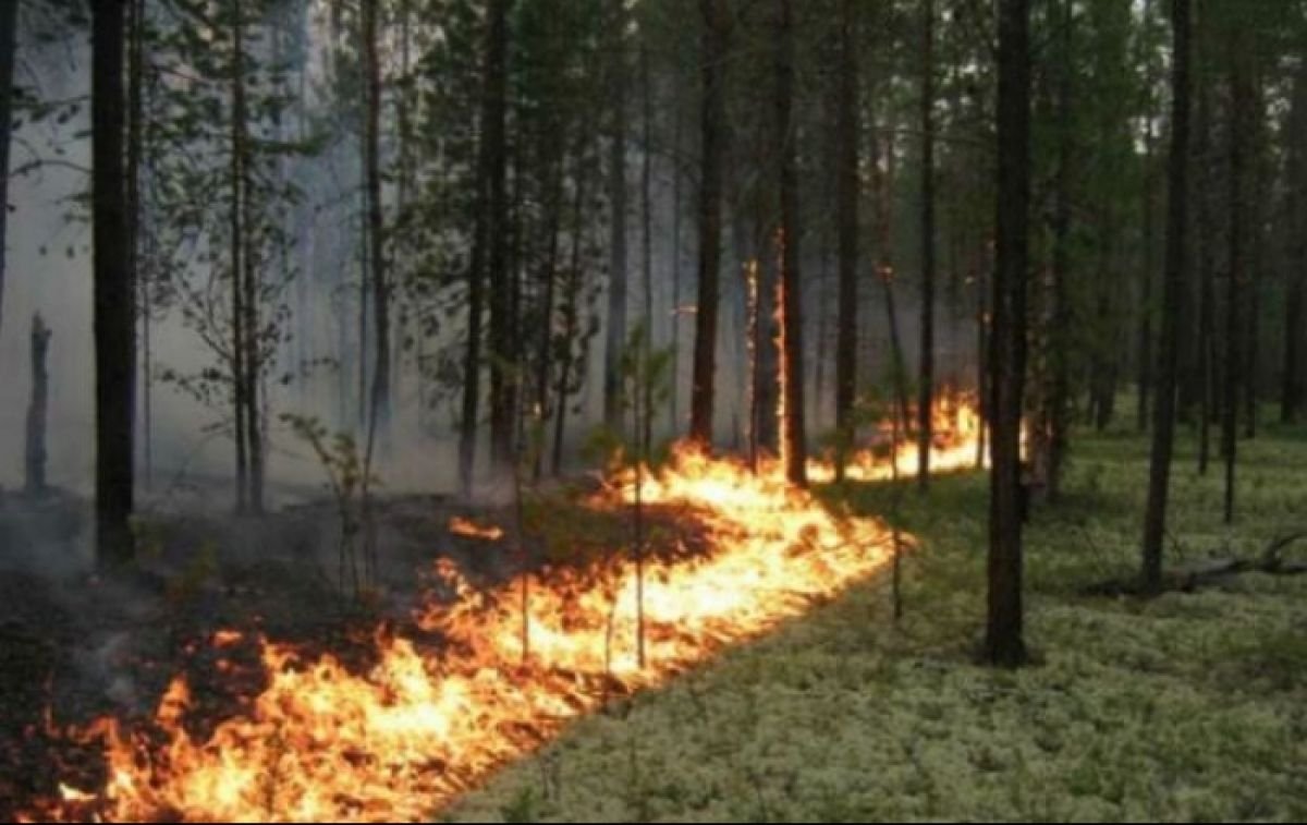 102941 Гідрометцентр попереджає: в Дніпропетровській області - екстремальна пожежна ситуація