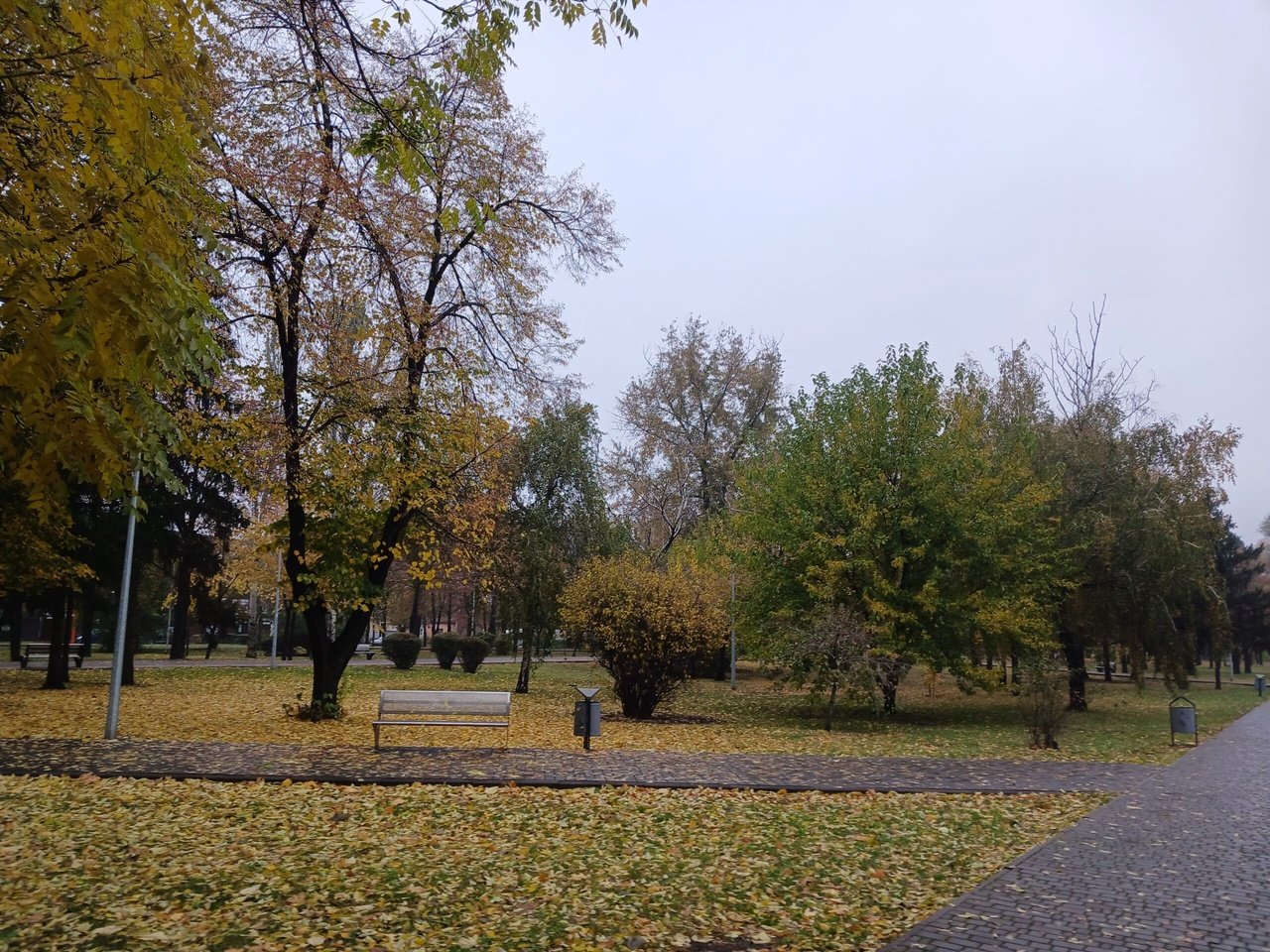 Осінь у Дніпрі