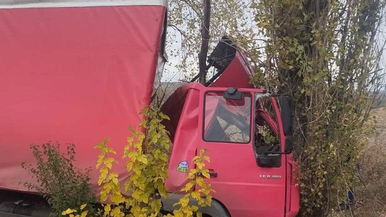 Врезавшаяся в дерево фура