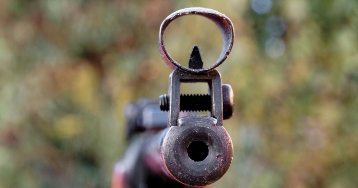 3424323 У Дніпрі мешканець багатоповерхівки стріляв по птахах з вікна