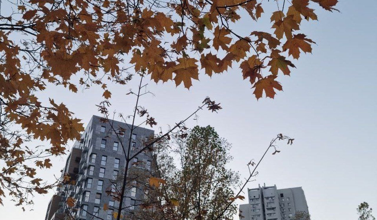 photo_2025-10-28_21-40-46 Осень в Днепре