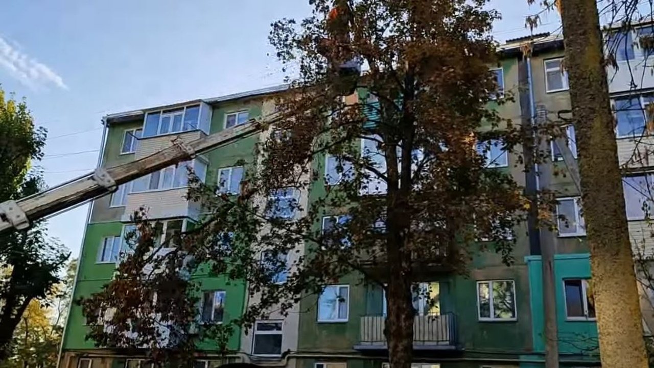 Дрон застрял на дереве в Павлограде