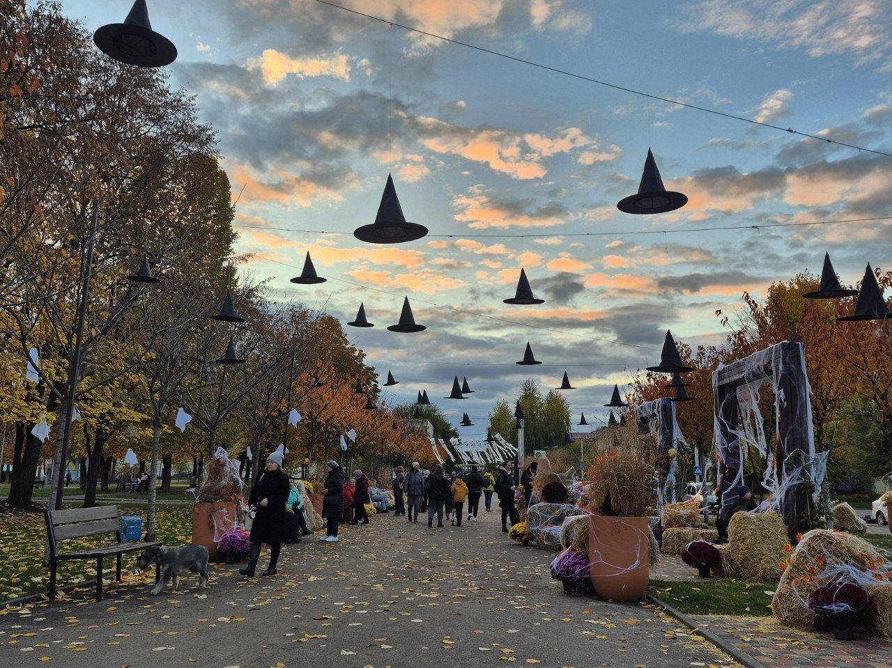 Фотозона до Геловина в Днепре