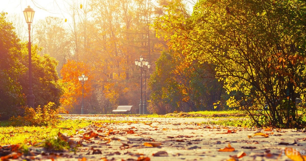 Солнечное утро и облачный день: прогноз погоды в Днепре на сегодня.