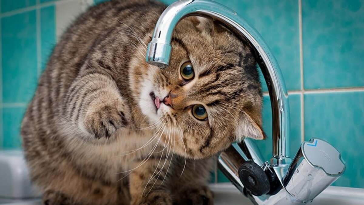 Аварійні роботи у Дніпрі: кілька житломасивів відключать від водопостачання