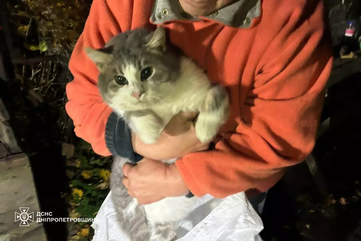 В деревне под Днепром кот провалился в колодец: как спасали пушистика