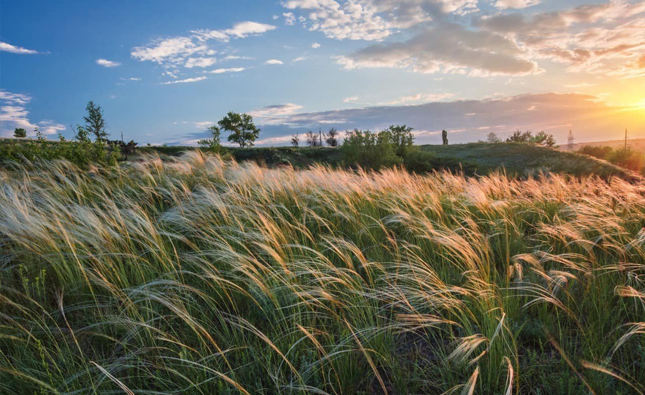 Землі заповідника