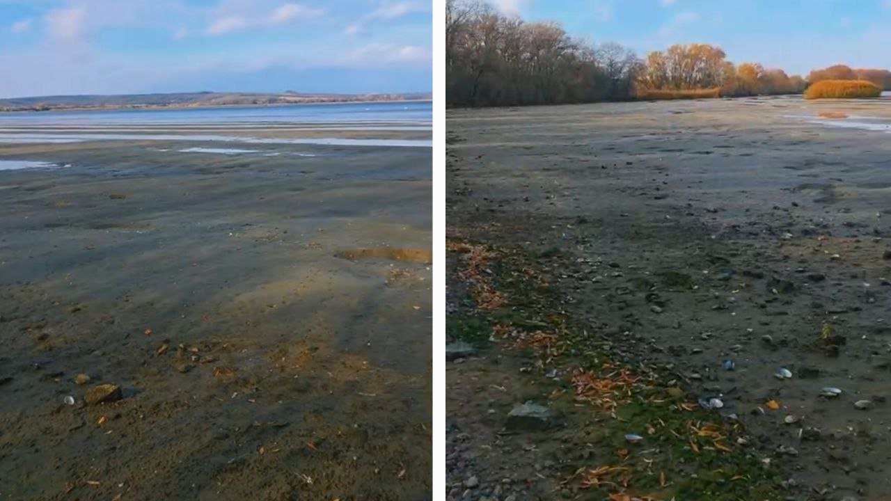 Обмелел водоем в Верхнеднепровске