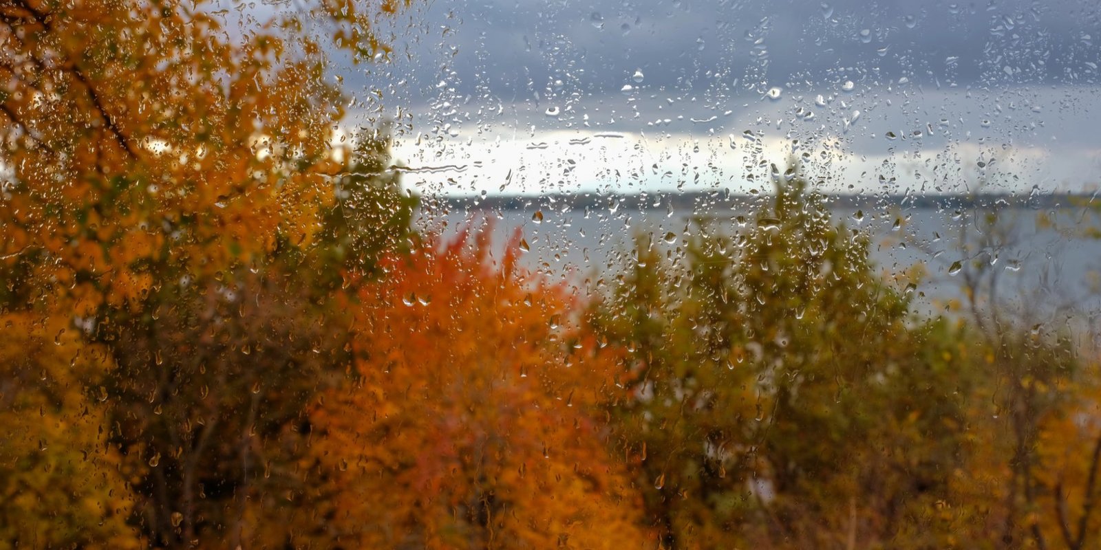 Погода в Днепре 23 ноября: облачно, но без осадков